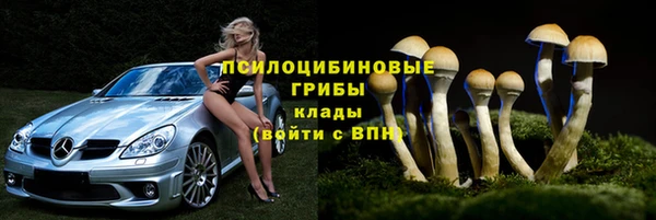 винт Абинск